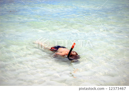 little boy snorkeling with an underwater mask on Koh Samui 12373467
