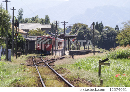 Toyoshi Line Main Street 12374061