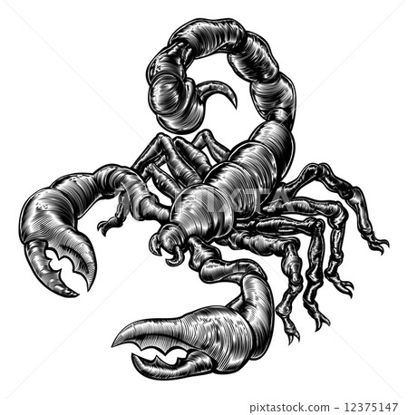 Vintage woodblock style scorpion Vintage woodblock style scorpion 12375147