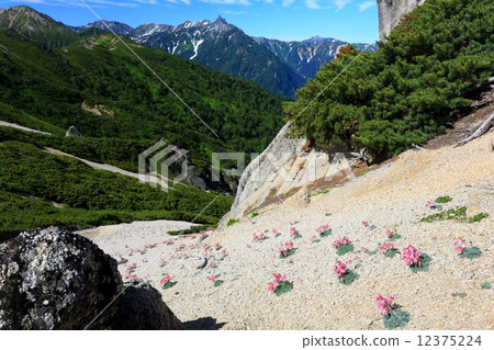 北阿爾卑斯山的Kamakusa社區·Mt. Yamake和Spear·Hotaka遠景 12375224