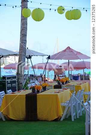 America Hawaii Party 12375265