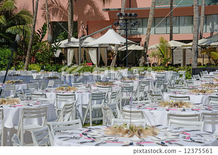 America Hawaii America Hawaii 12375561