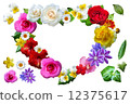 Heart's Flower Koji White Background 12375617