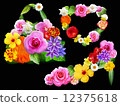 Flower fashion accessory black background 12375618