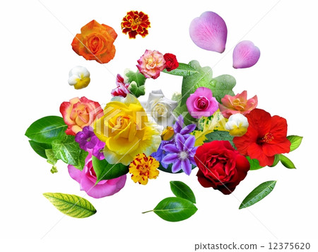 Happy Flower Car White Background 12375620