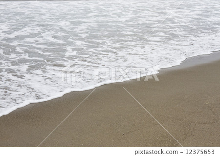 沙灘 12375653