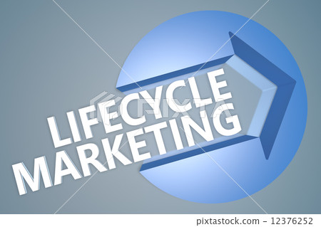 Lifecycle Marketing Lifecycle Marketing 12376252