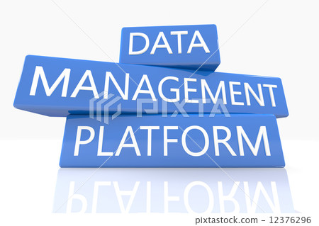 Data Management Platform 12376296