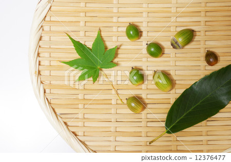 秋天不是形象 12376477