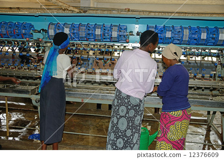 盧旺達基加利工廠 盧旺達基加利工廠 12376609