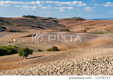 Tuscany 12376737