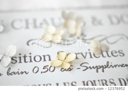 Plate and Annabel 12376952