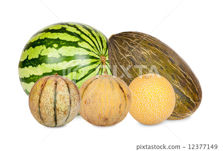 Five Different varieties of melons 12377149