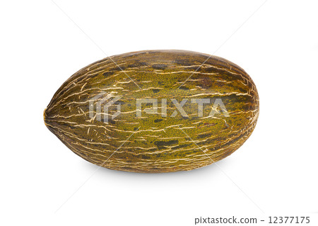 Fresh Piel de Sapo Melon 12377175