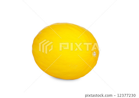 One Honeydew Melon 12377230