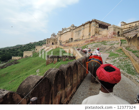 Take an elephant cab to the Amber Castle 12377324
