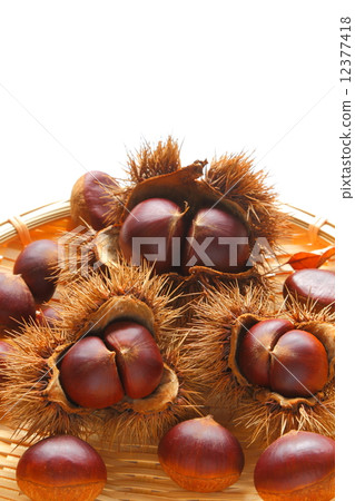 Chestnut 201410125 dm 23 Chestnut 201410125 dm 23 12377418