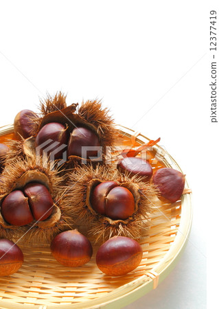 Chestnut 201410125 dm24 Chestnut 201410125 dm24 12377419