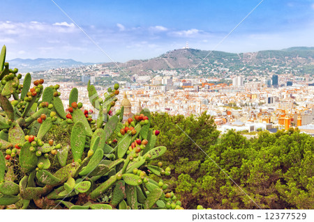 city, catalonia, castle 12377529