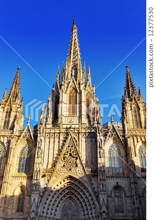 Cathedral. Cathedral of the Holy Cross and Saint Eulalia.Night v 12377530