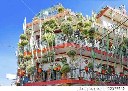Calella , House with cactus, Costa-Dorada beach, the suburbs of Calella , House with cactus, Costa-Dorada beach, the suburbs of 12377542