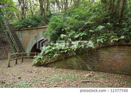 Trunk of a battery Trunk of a battery 12377598