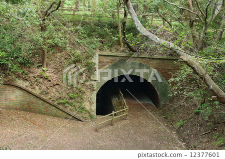 Trunk of a battery 12377601