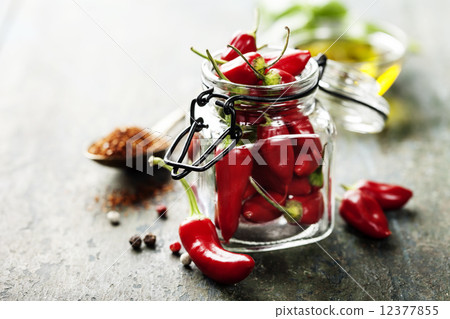 chili peppers with herbs and spices 12377855