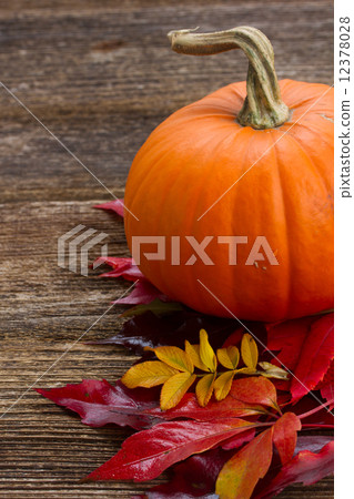 pumpkin on table 12378028