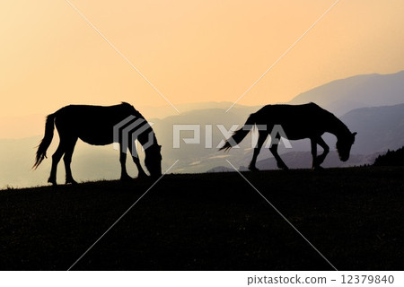 Misaki Ma Misaki Ma 12379840