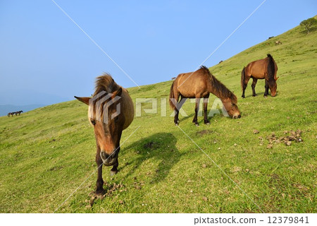 Misaki Ma Misaki Ma 12379841