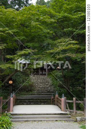 Hyuga Ogasumiya (Kyoto) 12380103