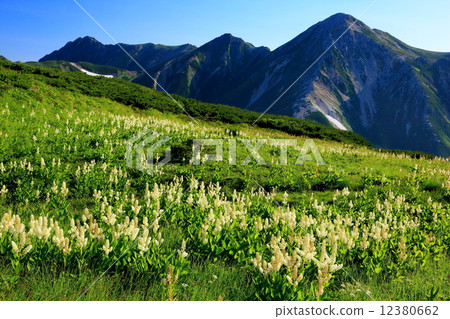 From the descent of the Northern Alps · Sumata lotus Dake mountain village, Waka-dake · Mt. Mizukidake From the descent of the Northern Alps · Sumata lotus Dake mountain village, Waka-dake · Mt. Mizukidake 12380662