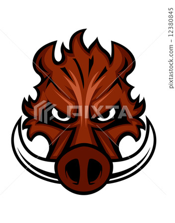 Fierce angry wild boar head 12380845