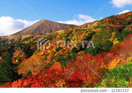 Autumn leaves Bandai Azuma skyline · Tengu garden 12381337