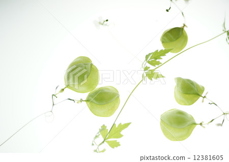 One another 12381605