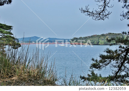 Matsushima Bay looking out from Oshima Matsushima Bay looking out from Oshima 12382059