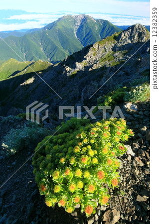 Iwabenkei and Sengegadake distant view of the Southern Alps · North Kitakami summit 12382359