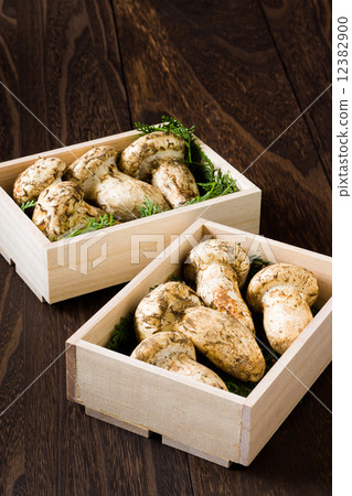 Matsutake mushroom abroad 12382900