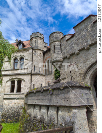 Liechtenstein Castle 12383047