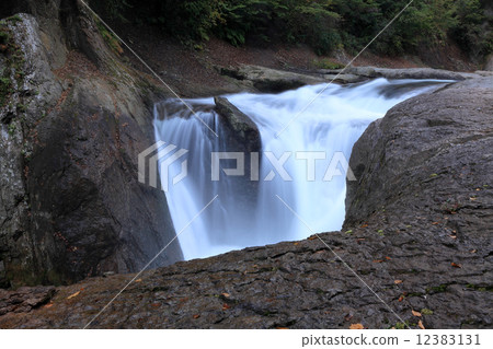 Waterfall of trout flying Waterfall of trout flying 12383131