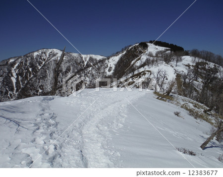Tanzawa山的雪 12383677