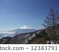 Mitsukotsuyama 12383791