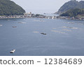 Hirugako 12384689