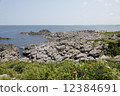 大島海岸 12384691
