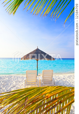 Parasol and chaise lounges Parasol and chaise lounges 12384709