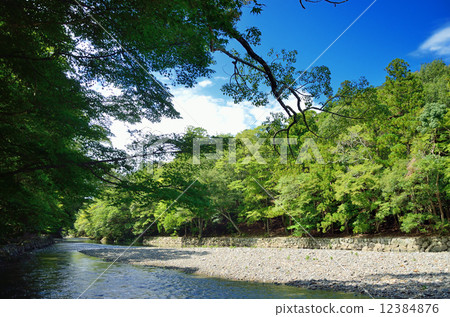 伊勢神宮五十鈴川 12384876