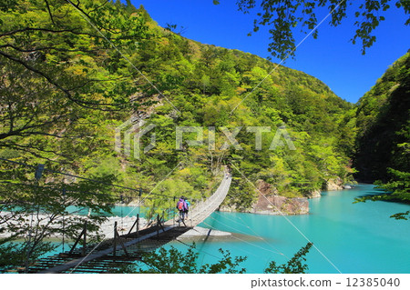 Suspension bridge 12385040