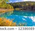 Blue pond 12386089