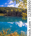 Blue pond 12386090